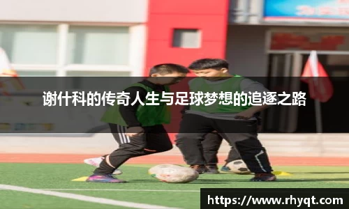 乐动LDSports官网