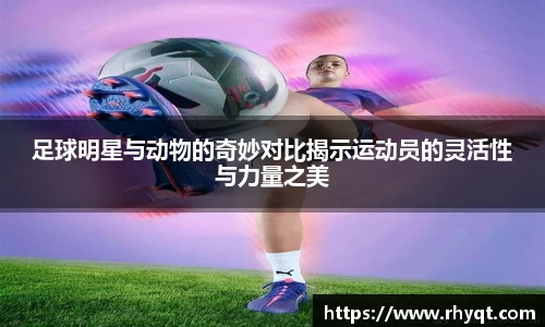 乐动LDSports综合体育